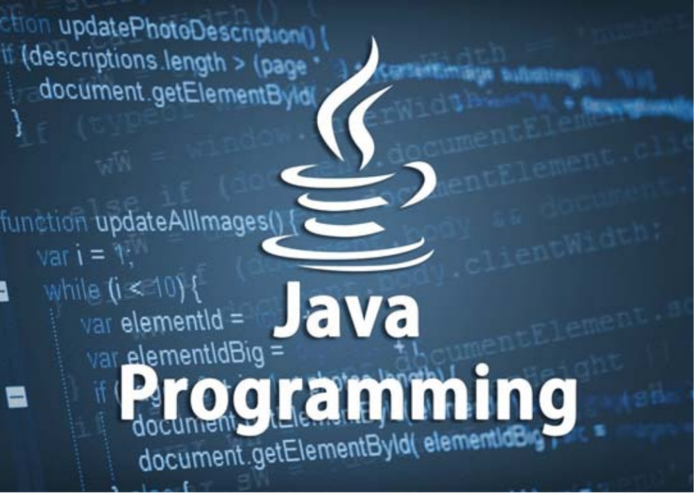 PROGREAMMING IN  JAVA